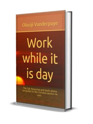cover image of Work While it is Day